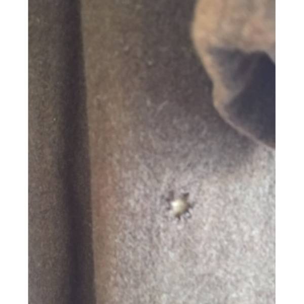 Objet militaire WW2 certifié et sélectionné